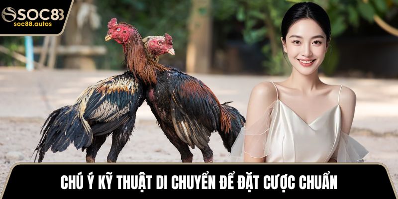 Đá Gà Thomo - Tham Khảo Từ A Đến Z Cho Các Sư Kê Mới Chú ý kỹ thuật di chuyển để đặt cược chuẩn