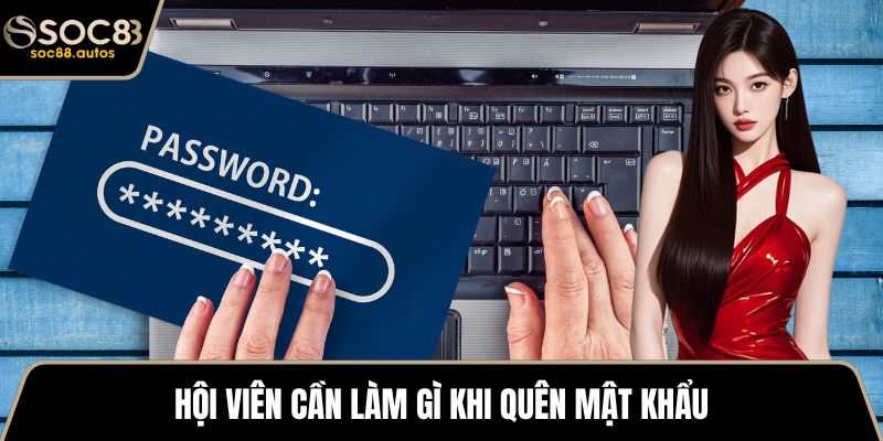 Hội viên cần làm gì khi quên mật khẩu