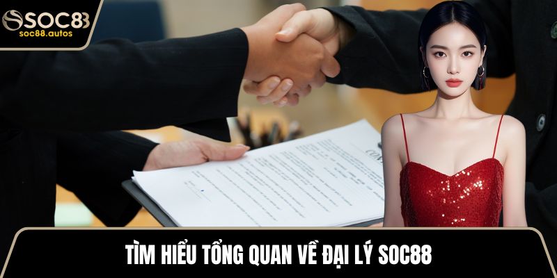 Đại Lý SOC88 Tìm hiểu tổng quan về đại lý SOC88